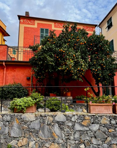 Cinque Terre Monterosso